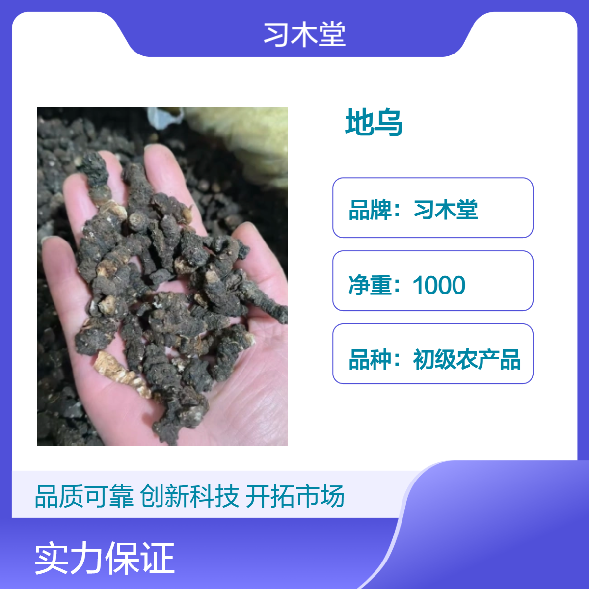 习木堂 供应 地乌 金串珠 蜈蚣三七 新货 无硫 1000g 包邮
