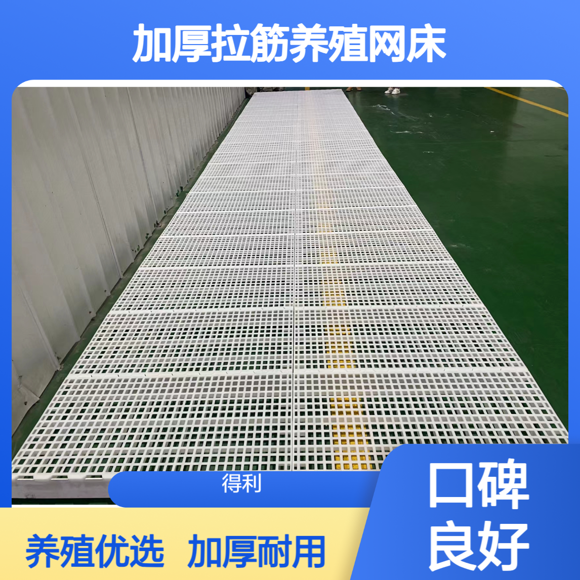 出口种鸡漏粪板 支撑横梁配件 加厚拉筋养殖网床 生产厂家