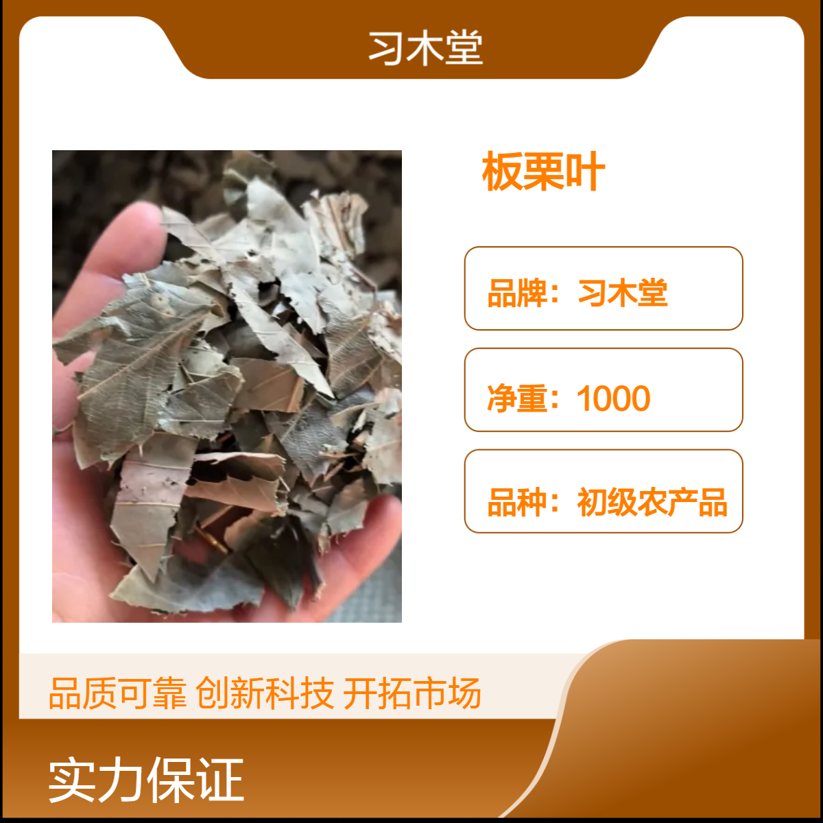 批发 板栗叶 当年新货 无硫 自然晒干 保质保量 1000g 初级农产品