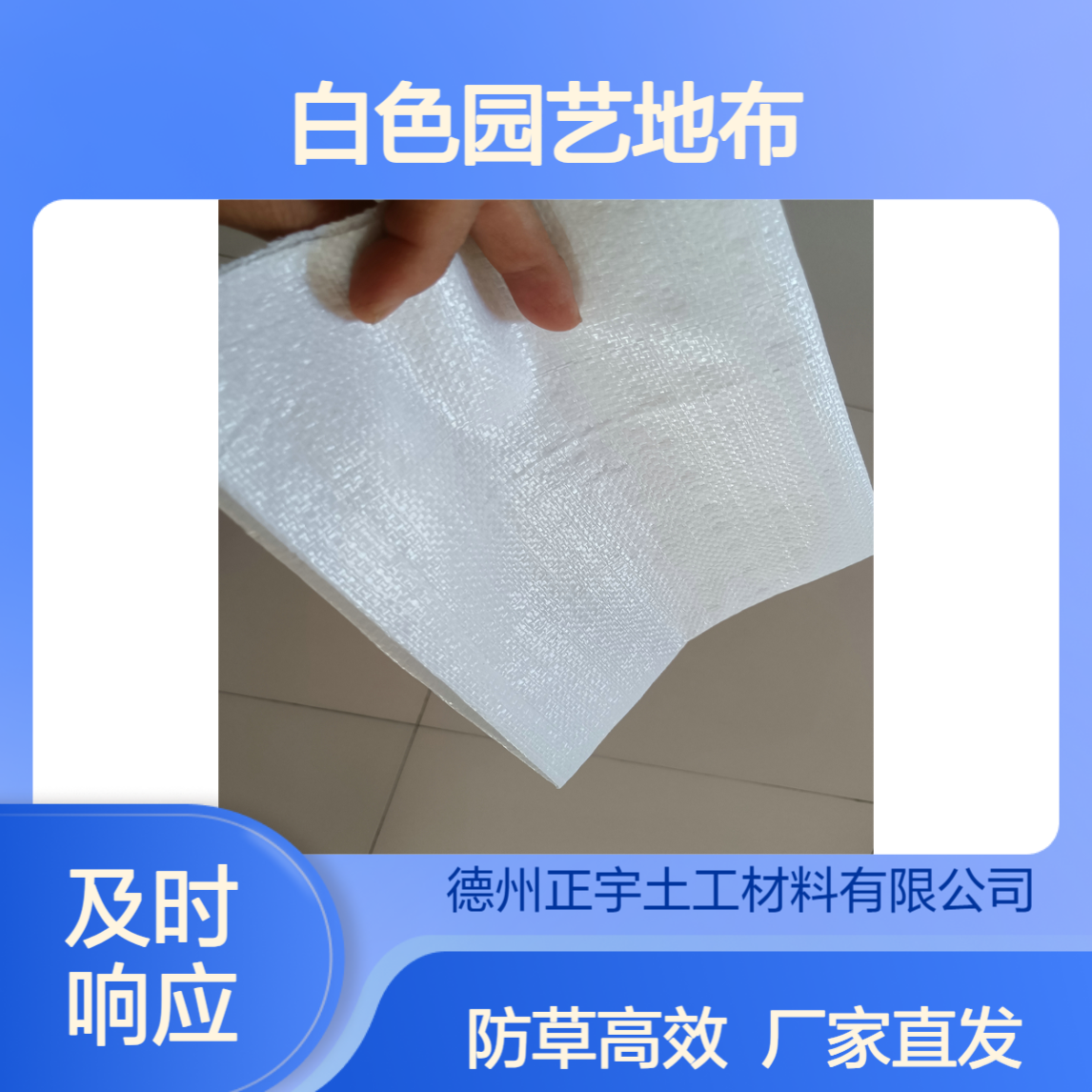 PE编织布 白色园艺地布 果树防草布 宽度可定制 厂家直发 100克/90克