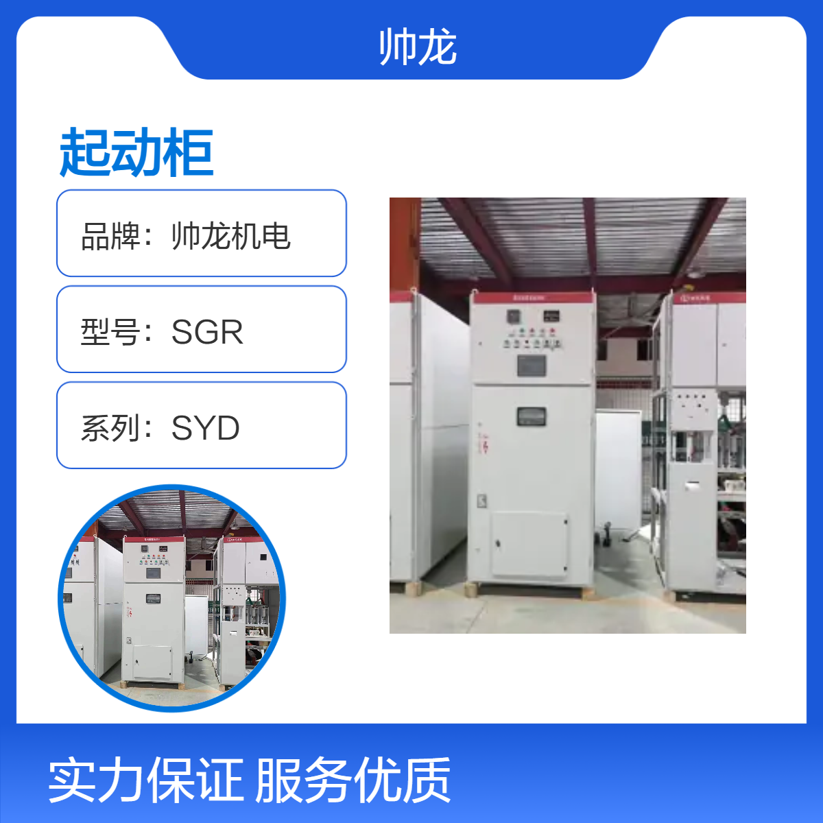 帅龙机电SGR系列高压固态软启动柜 水泥厂 大型电机软起动控制柜
