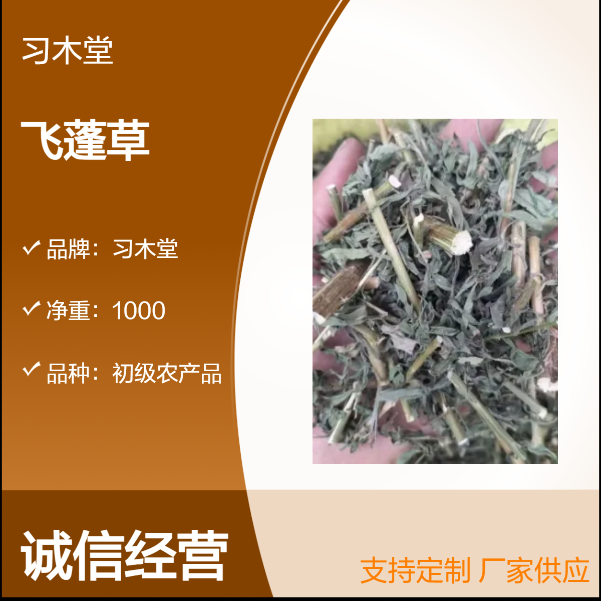 飞蓬草 批发 新货 无硫 保质保量 各种花草茶 供应