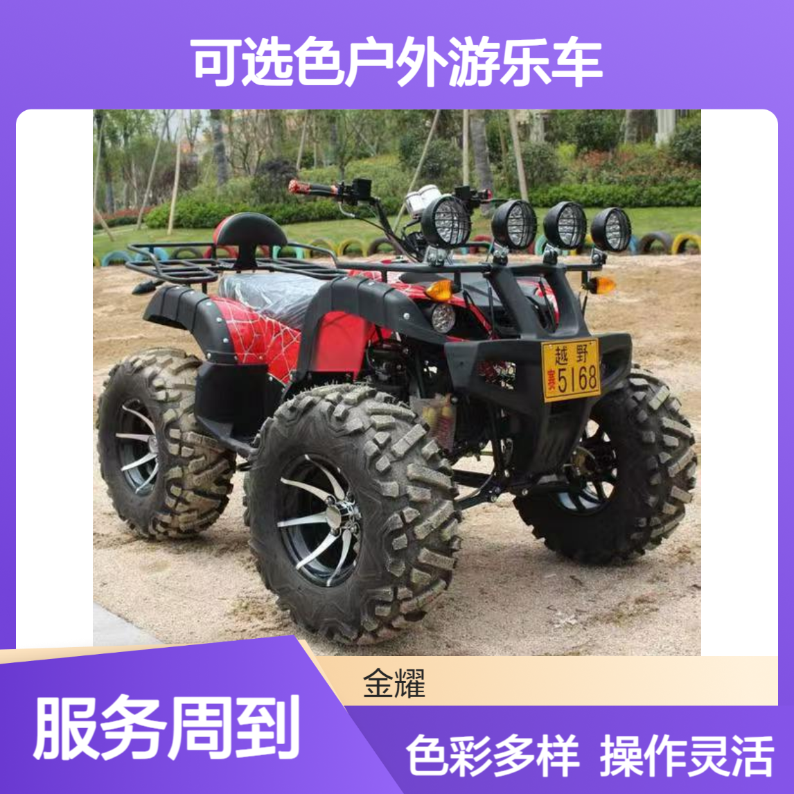 金耀大公牛卡丁车链条传动前进后退可选色户外游乐车