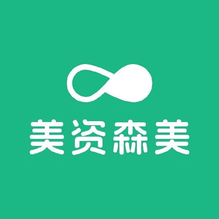 美资森美电器（上海）有限公司 - 公司logo