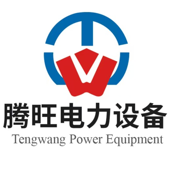 山东腾旺电力设备有限公司 - 公司logo