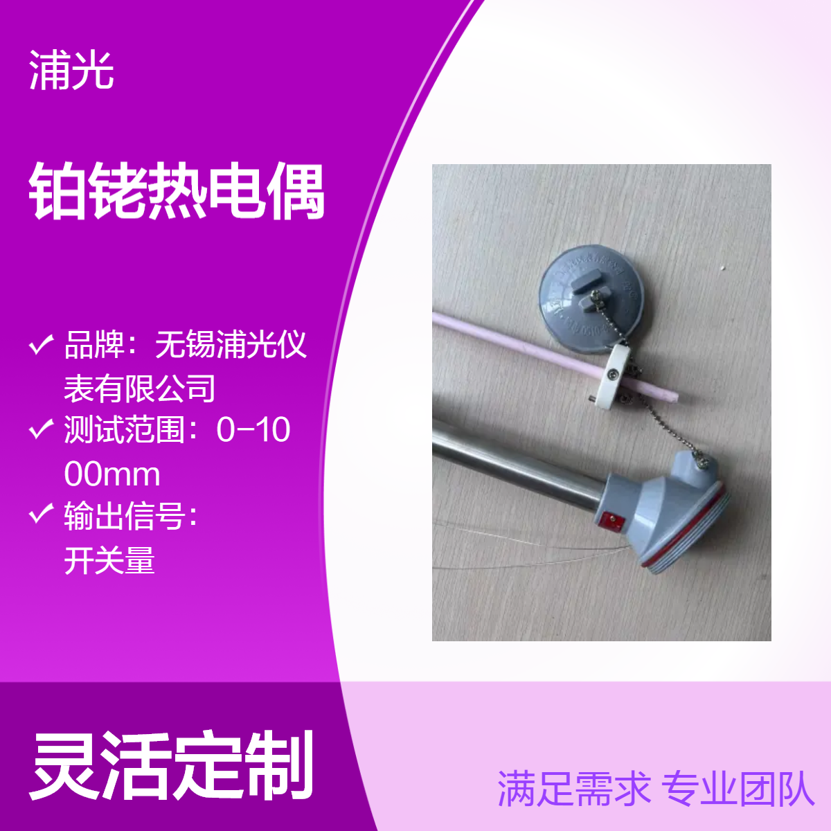 浦光 S型铂铑热电偶 耐高温刚玉管陶瓷管智能温度变送器 国标标准