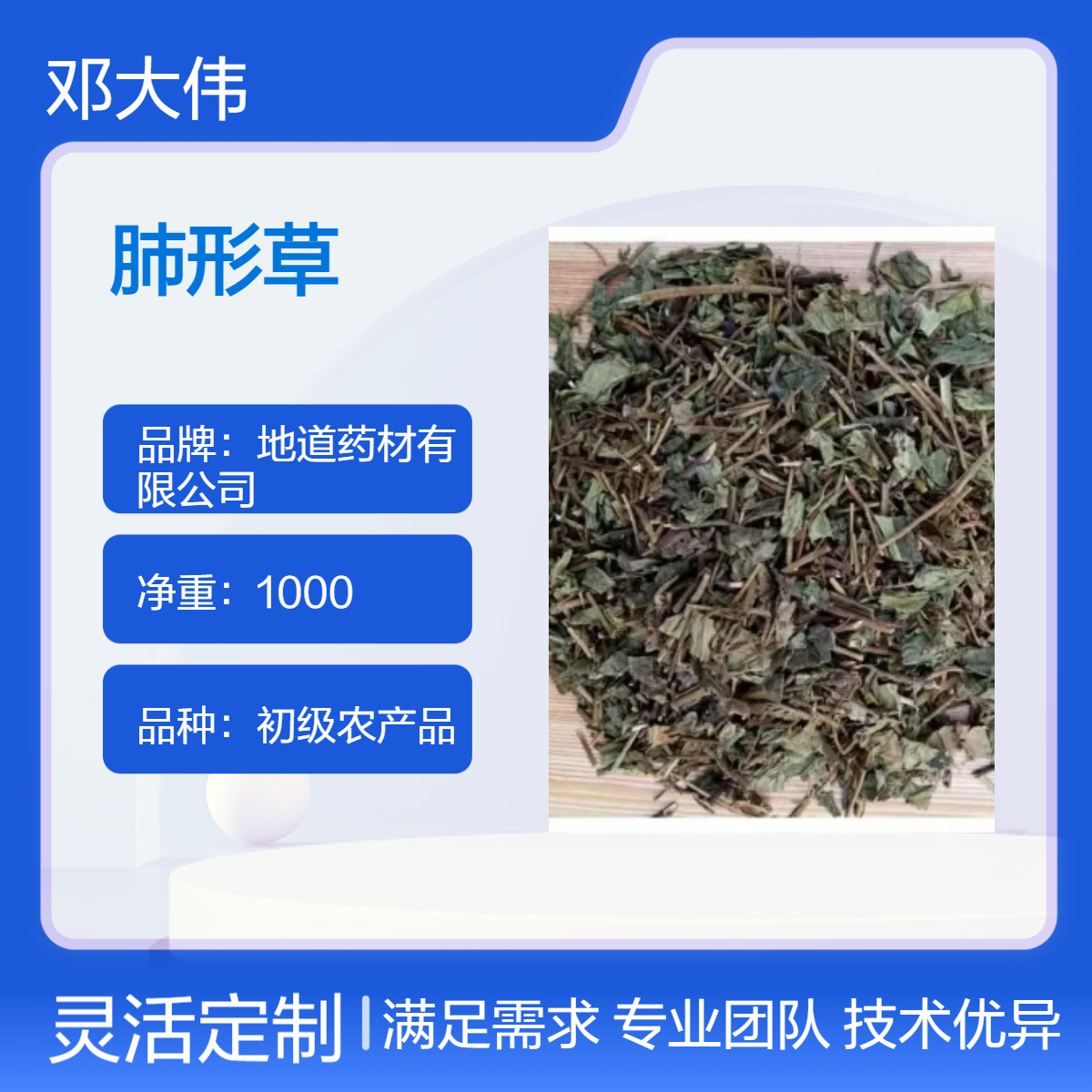 中药材肺形草产地批发 一手货源 自然晒干 保证质量