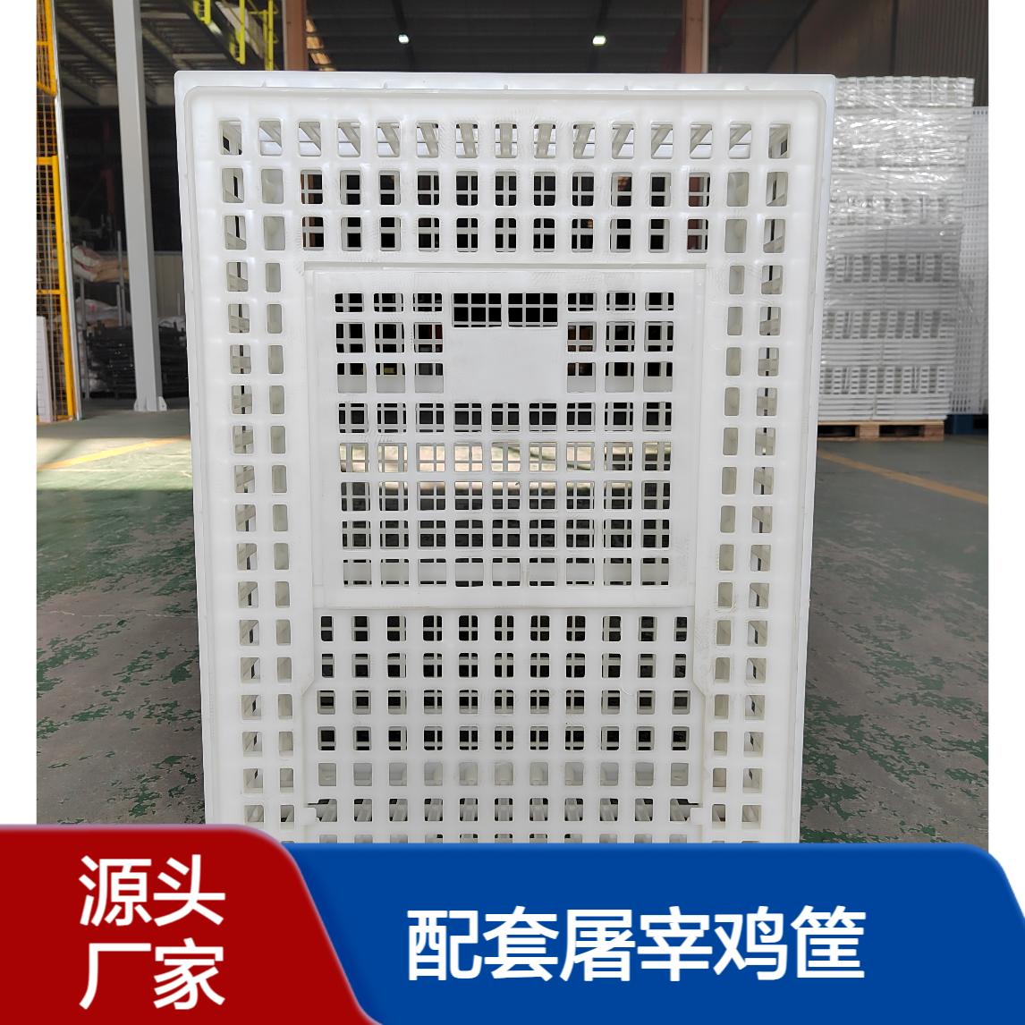 塑料毛鸡笼子 成鸡运输笼 结实耐用大鸡筐子 配套屠宰鸡筐