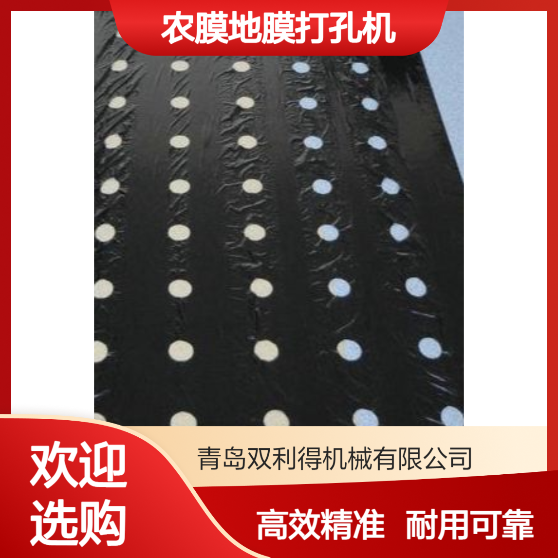 双利得根据客户定制塑料薄膜打孔农膜地膜打孔机和僧出现
