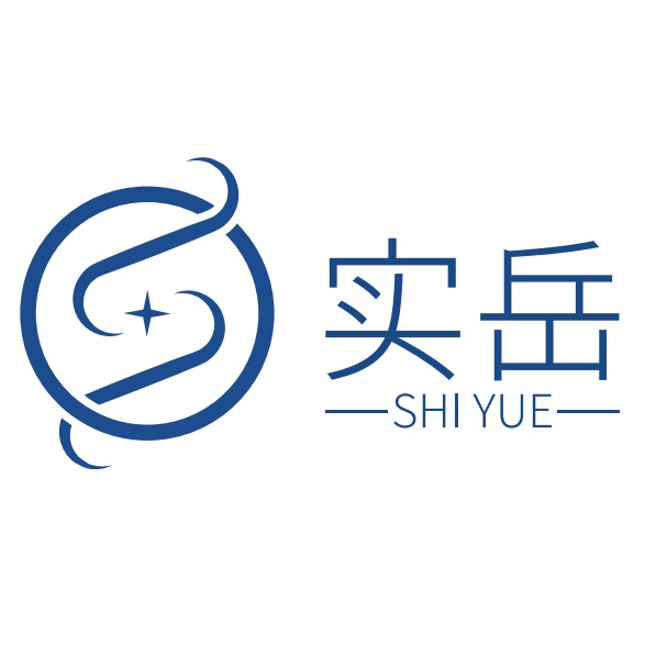 河北实岳自动化科技有限公司 - 公司logo