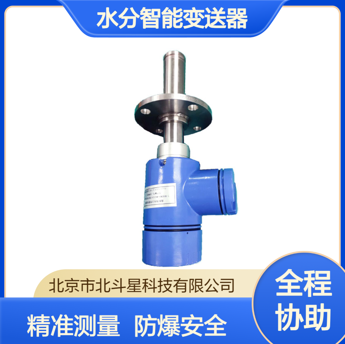 烘干工艺干燥器智能水分测试变送器T-BD5CMD+MS2123N-HAH