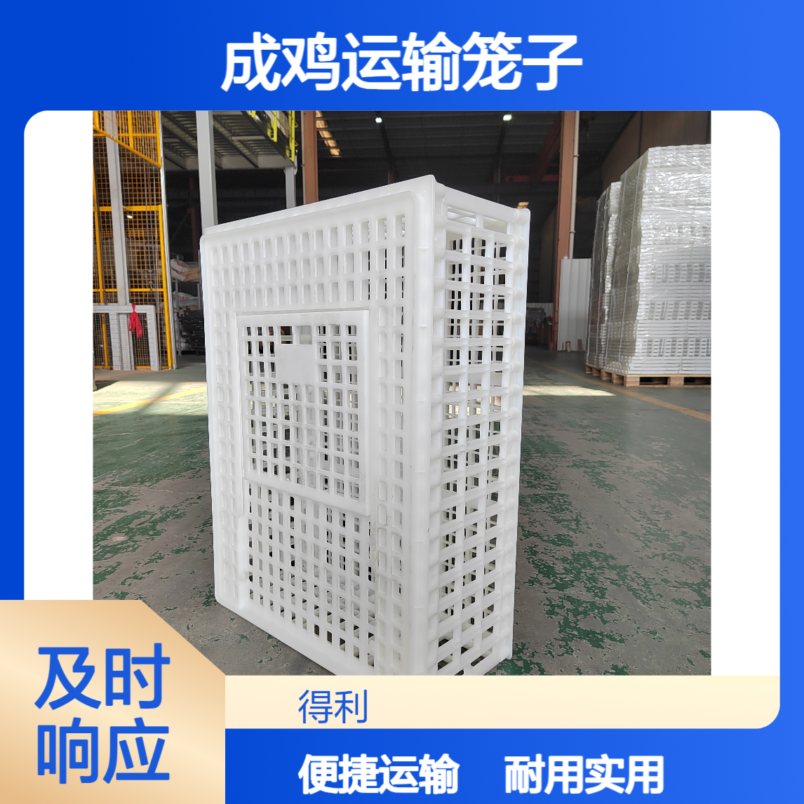塑料大鸡笼子 成鸡运输笼子 毛鸡筐厂家 得利畜牧