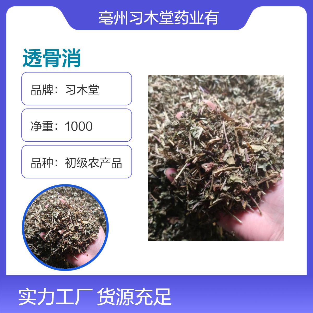 供应 中草药 透骨消 铜钱草 遍地香 当年新货 无硫 品质好