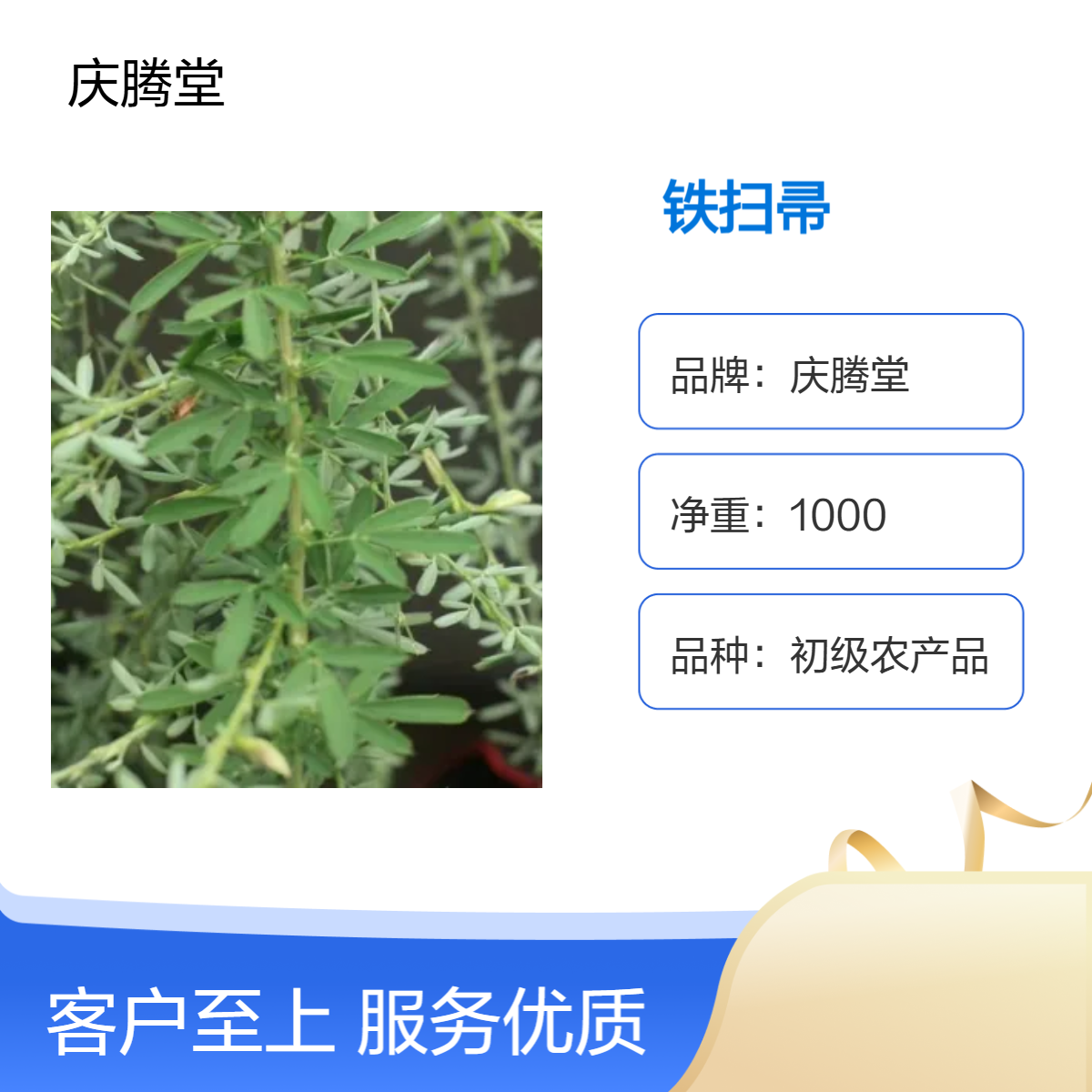 铁扫帚 夜关门 批发 新货 无硫 质量好 各种冷背药材供应