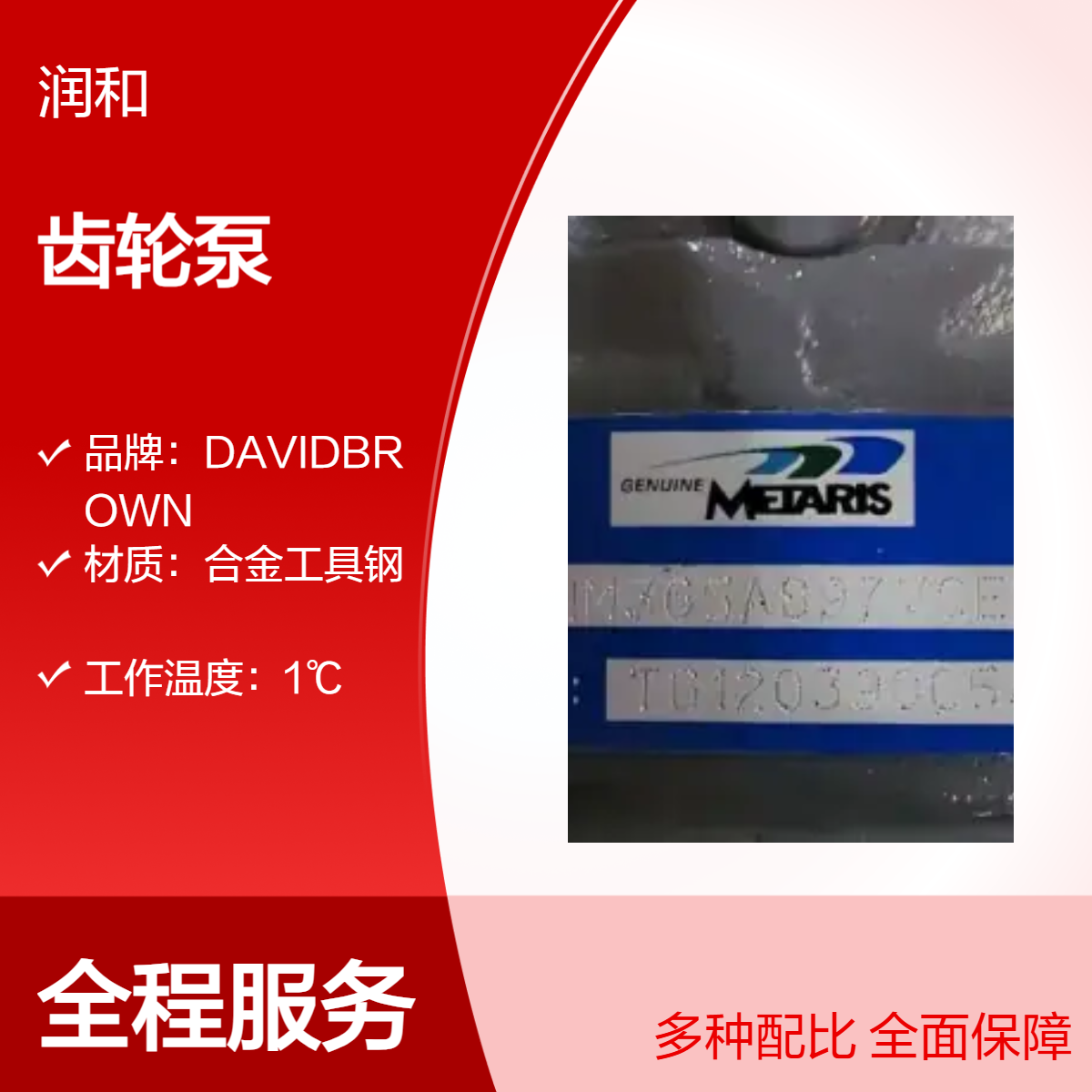 意大利METARIS合金工具钢电动齿轮泵 耐腐蚀，黑色轻便泵