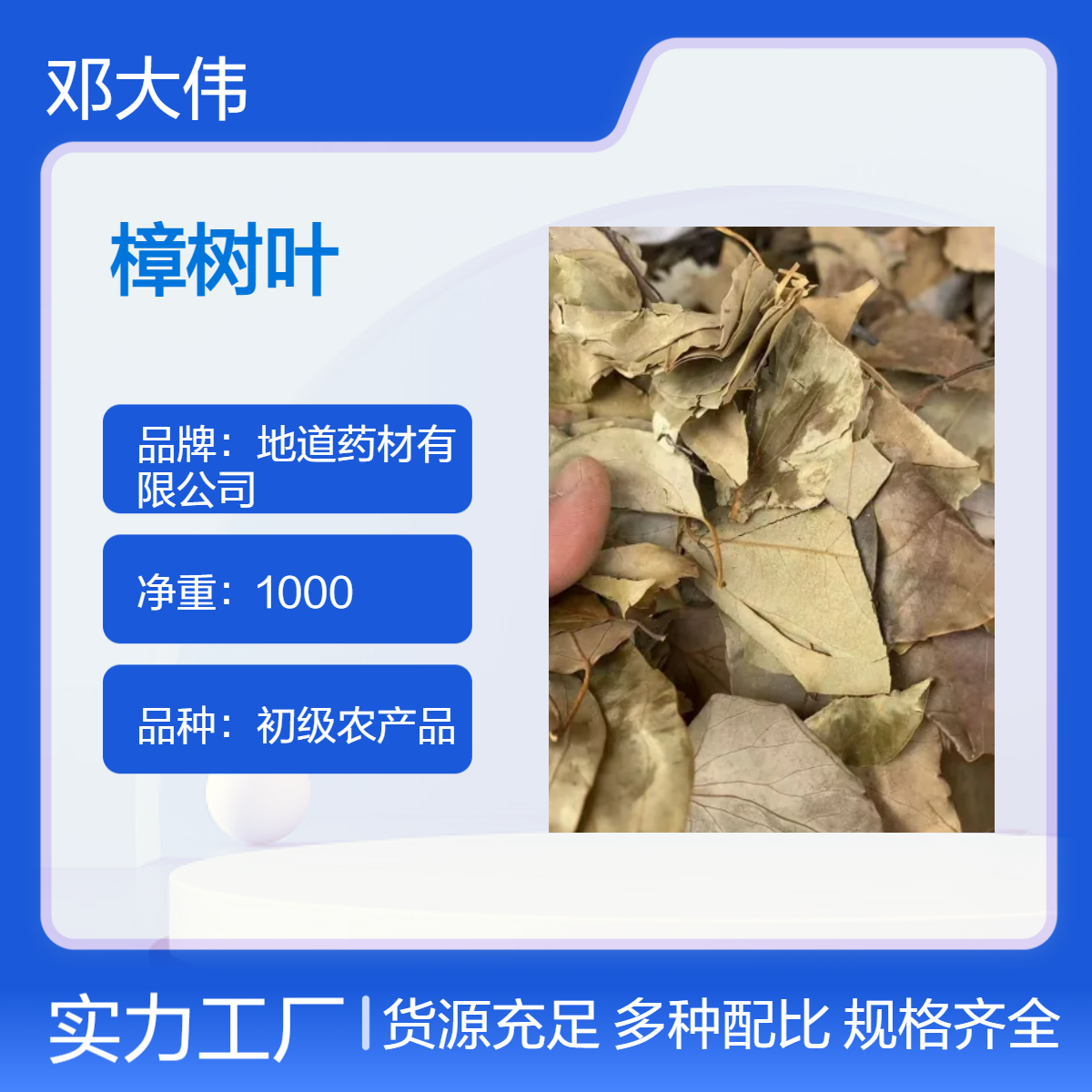 批发 樟树叶 樟树子 无硫 新货 保质保量 1000g 包邮
