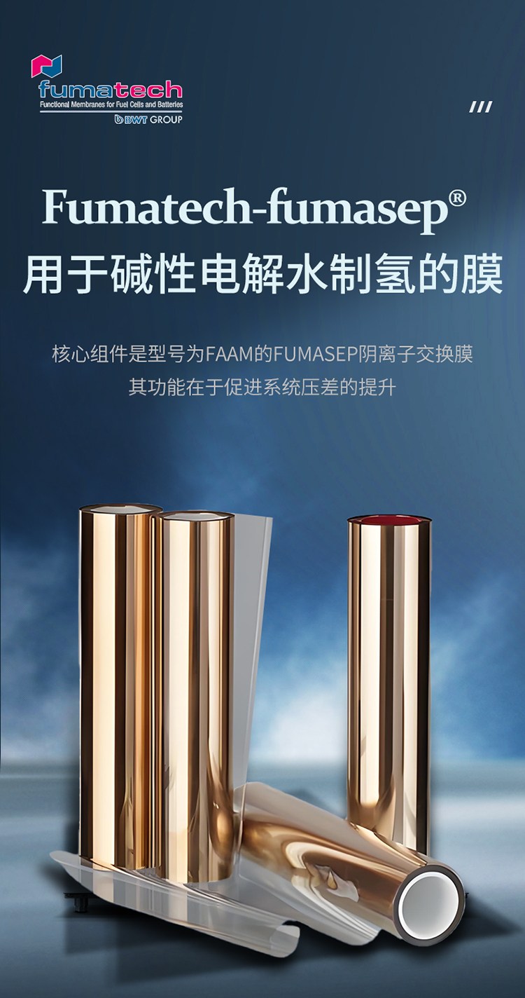 Fuma Tech Ceo Fumatech FUMA福马 fumasep®FAAM-75-PK 阴离子交换膜化工制氢 - 百度爱采购