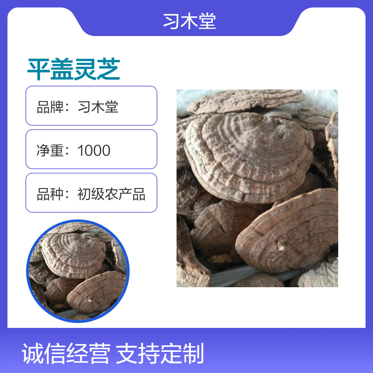 习木堂 批发 野生 平盖灵芝 皂角菌 新货 无硫 散装 正品