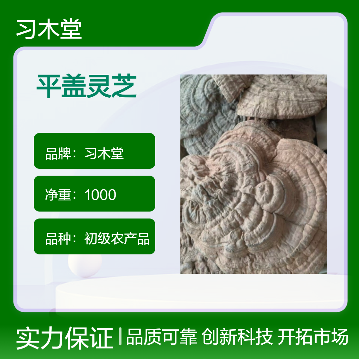 精选 平盖灵芝 牛肝菌 桦树茸 批发 产地直售 规格齐全 质量好