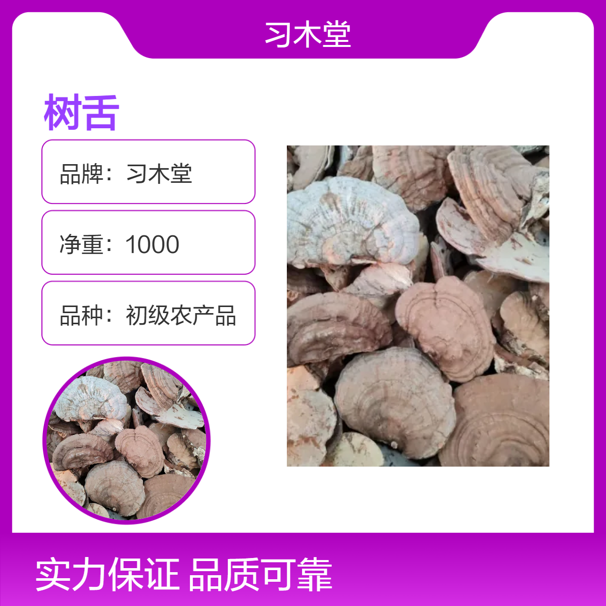 习木堂 批发 树舌 平盖菇 皂角菌 精选 无硫 新货 保质保量