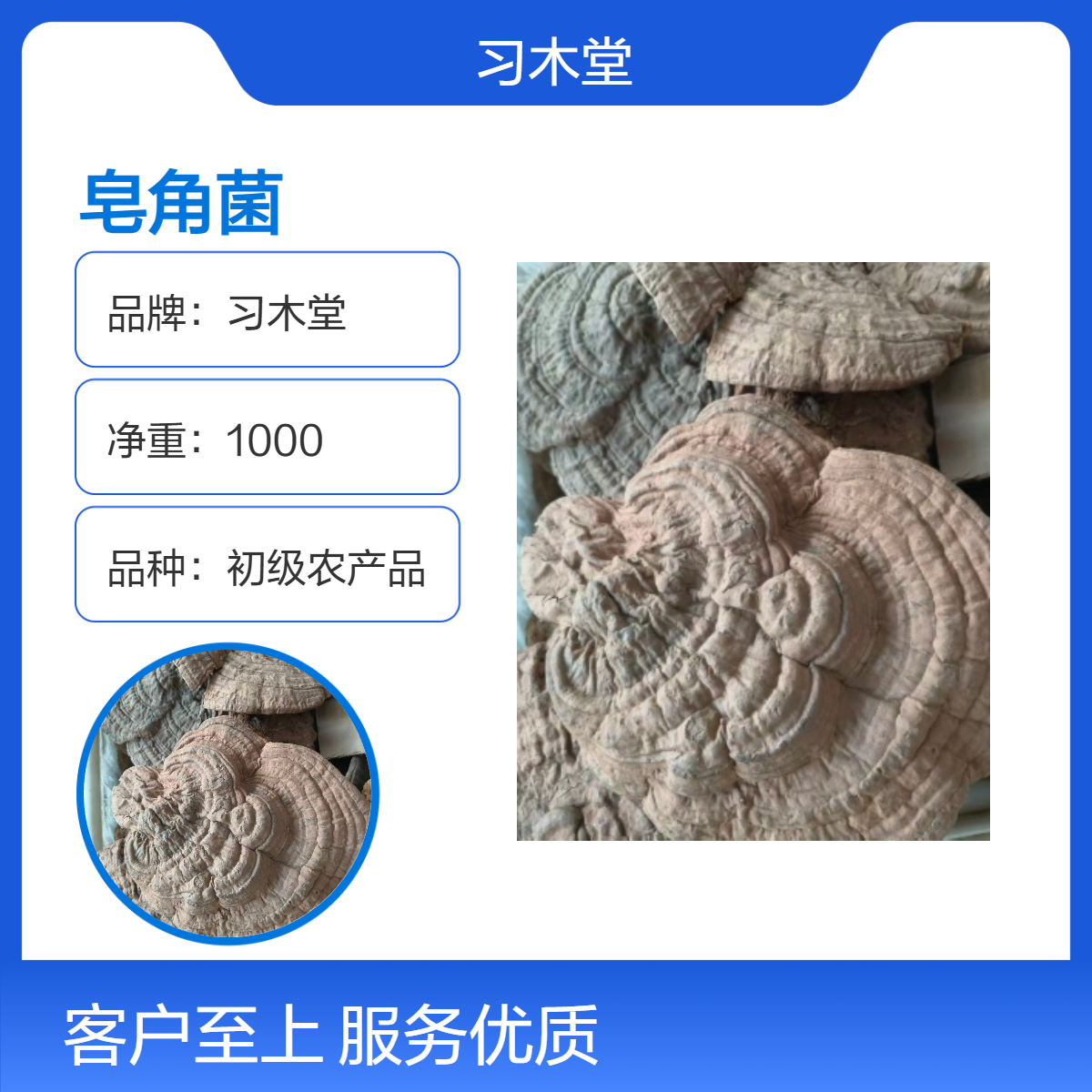 正宗 皂角菌 批发 无硫 新货 规格齐全 质量保证 产地直售