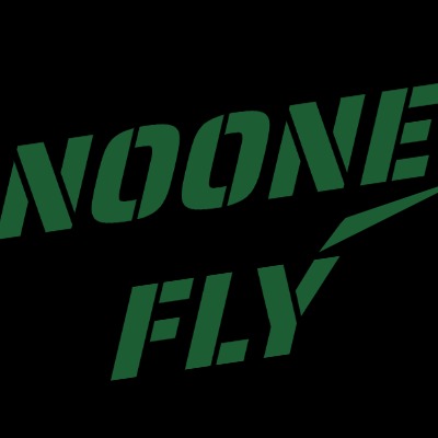 深圳市言飞信息技术有限公司