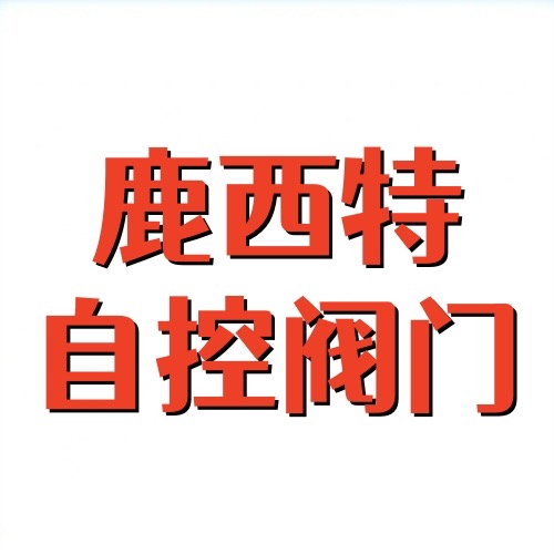 上海鹿西特自控阀门有限公司