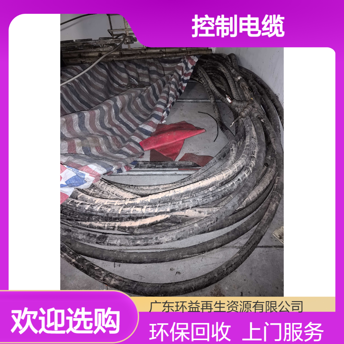 控制电缆回收 提供免费上门服务 减少污染 现金结算快