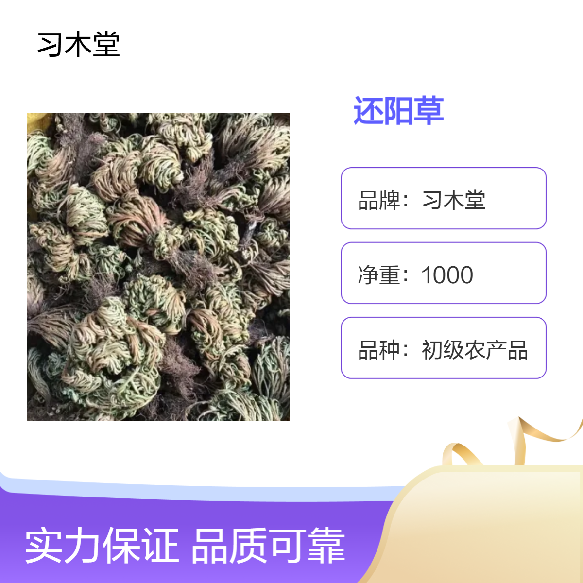 供应 还阳草 卷柏 九死还魂草 新货 无硫 仓库直发 货源充足