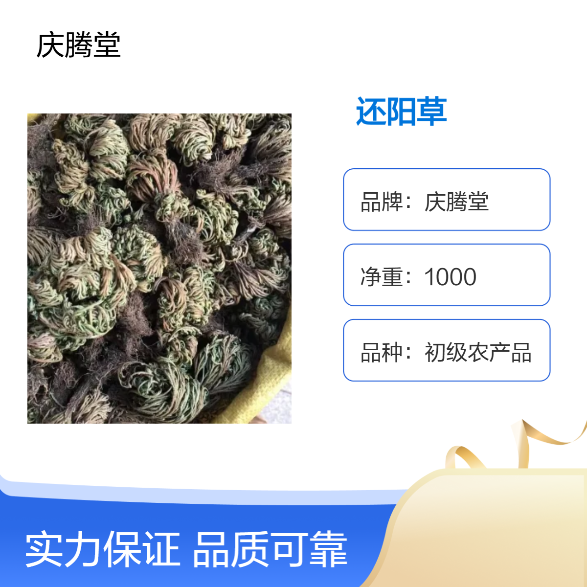 批发 中草药 还阳草 九死还魂草 回春草 无硫新货 质量保证