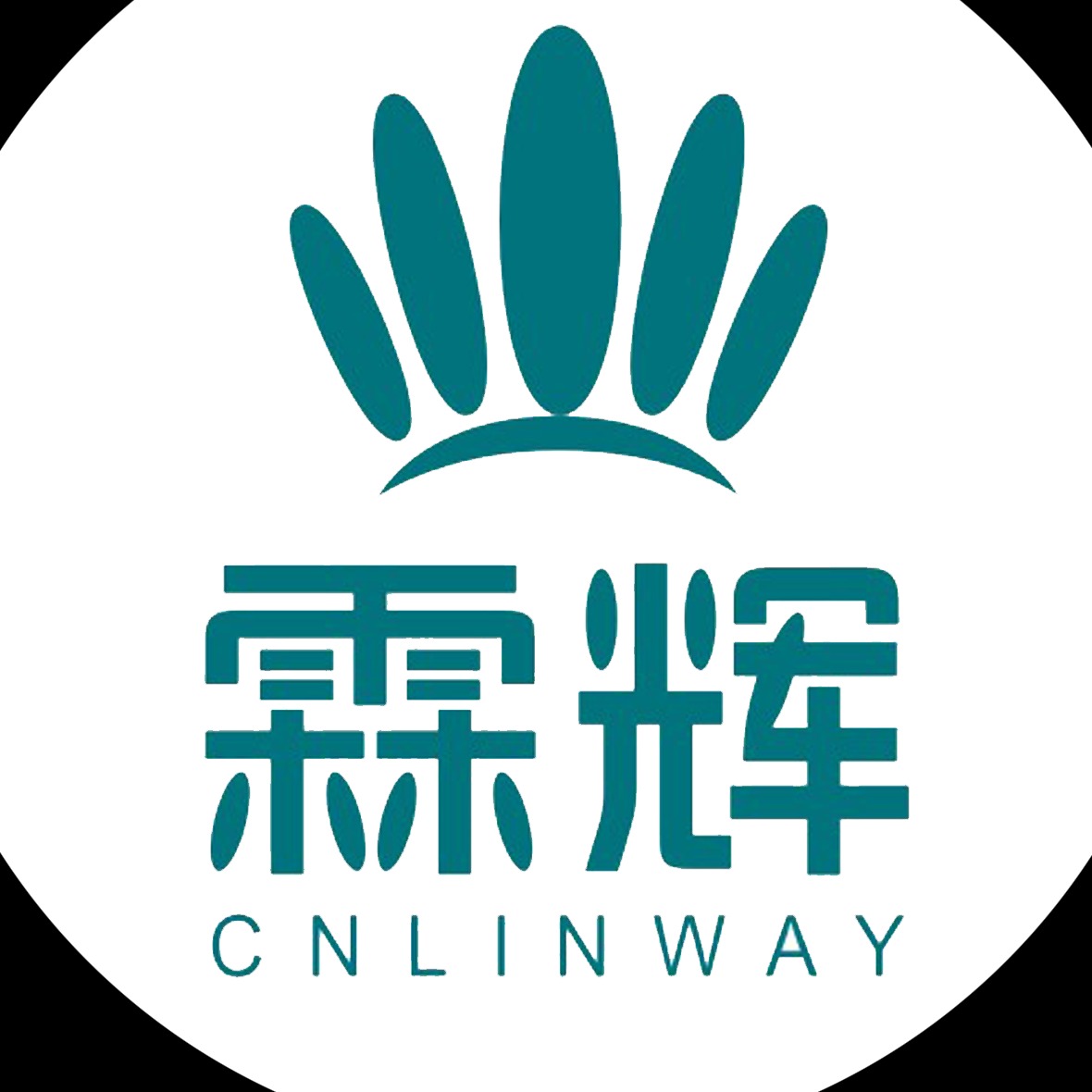 东莞市霖辉金属表面处理材料有限公司 - 公司logo