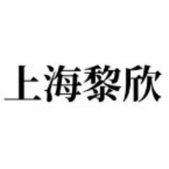 上海黎欣安防工程有限公司