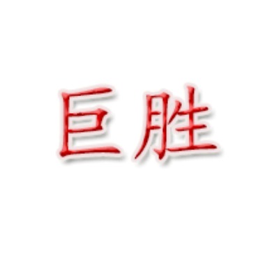 湖北巨胜科技有限公司 - 公司logo