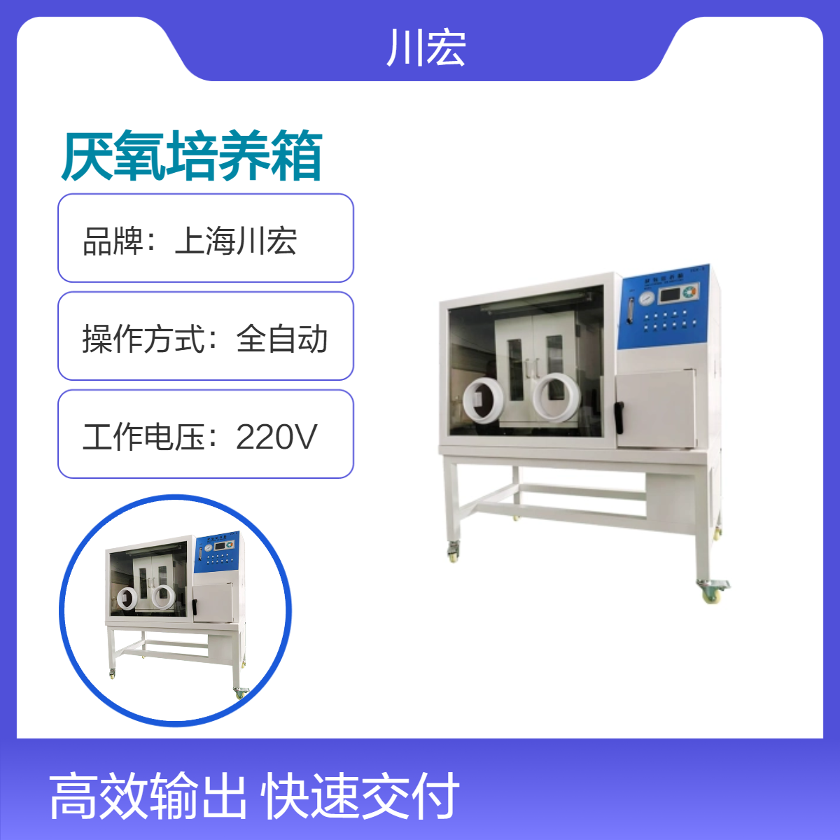 厌氧培养箱YQX-II 实验室手套箱微生物无菌培养专用设备