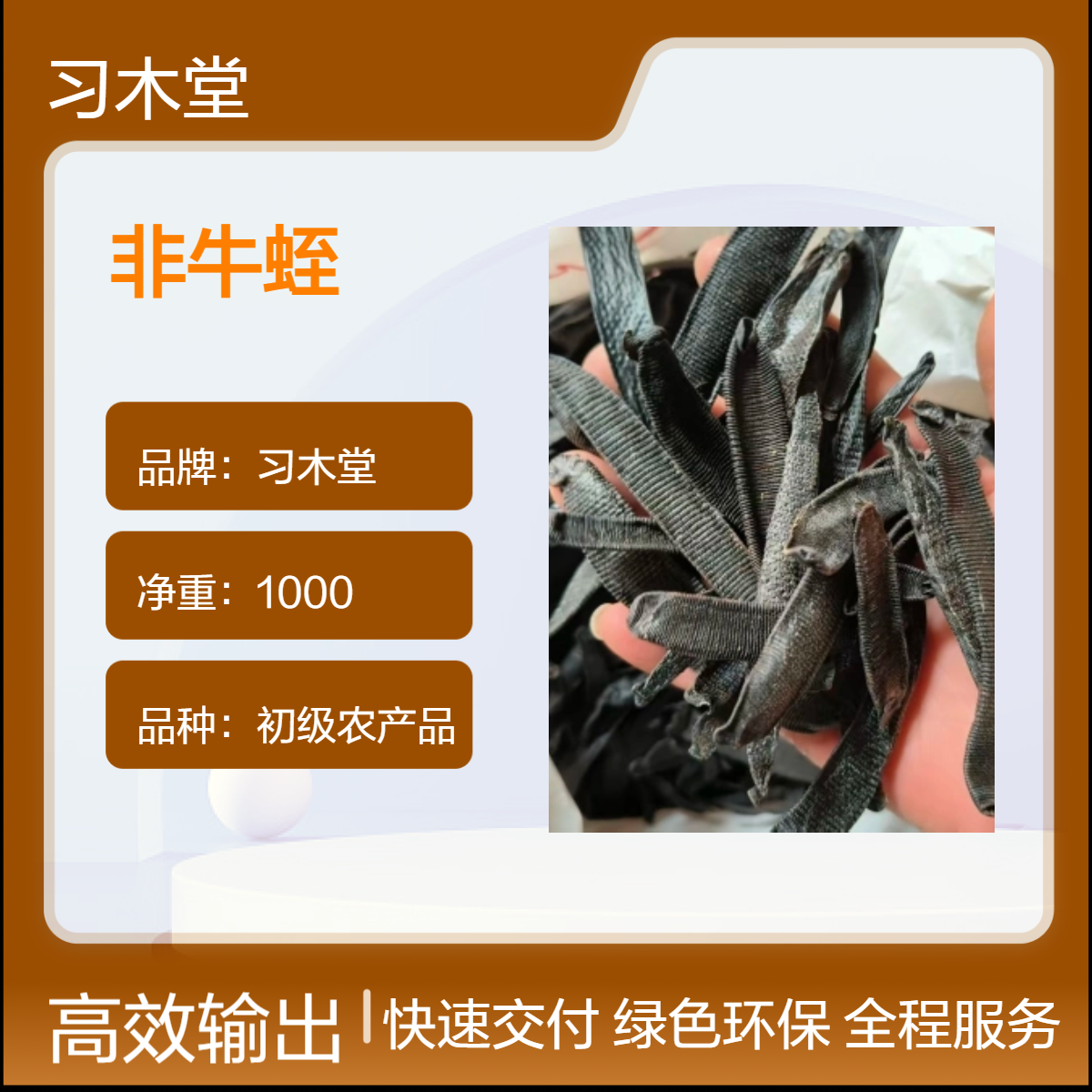 习木堂 批发 菲牛蛭 清水 吊杆水蛭 新货 无硫 干净 无杂质 1000g 袋装