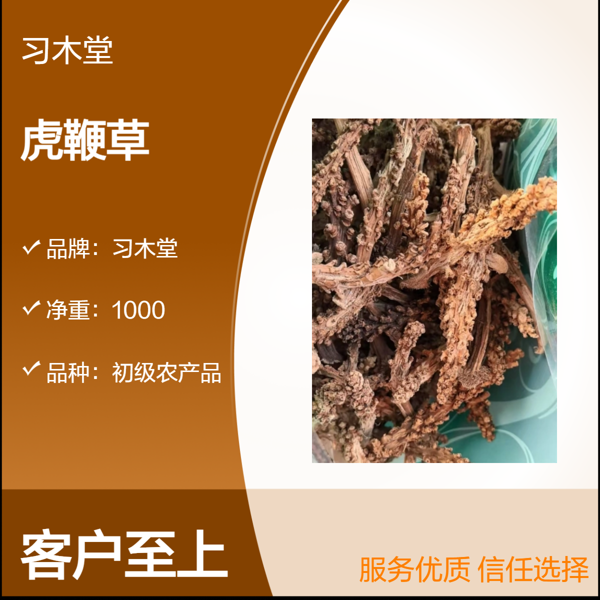 习木堂 批发 野生 虎鞭草 新货 无硫 品质好 产地直售