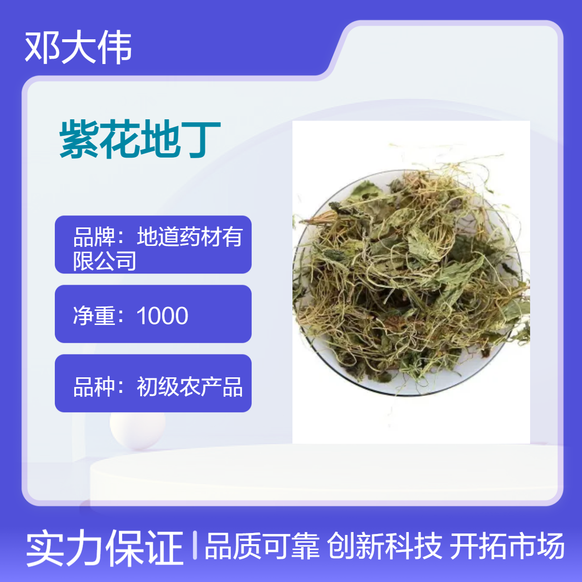 中药材紫花地丁批发 产地直供 货源充足 药材地道