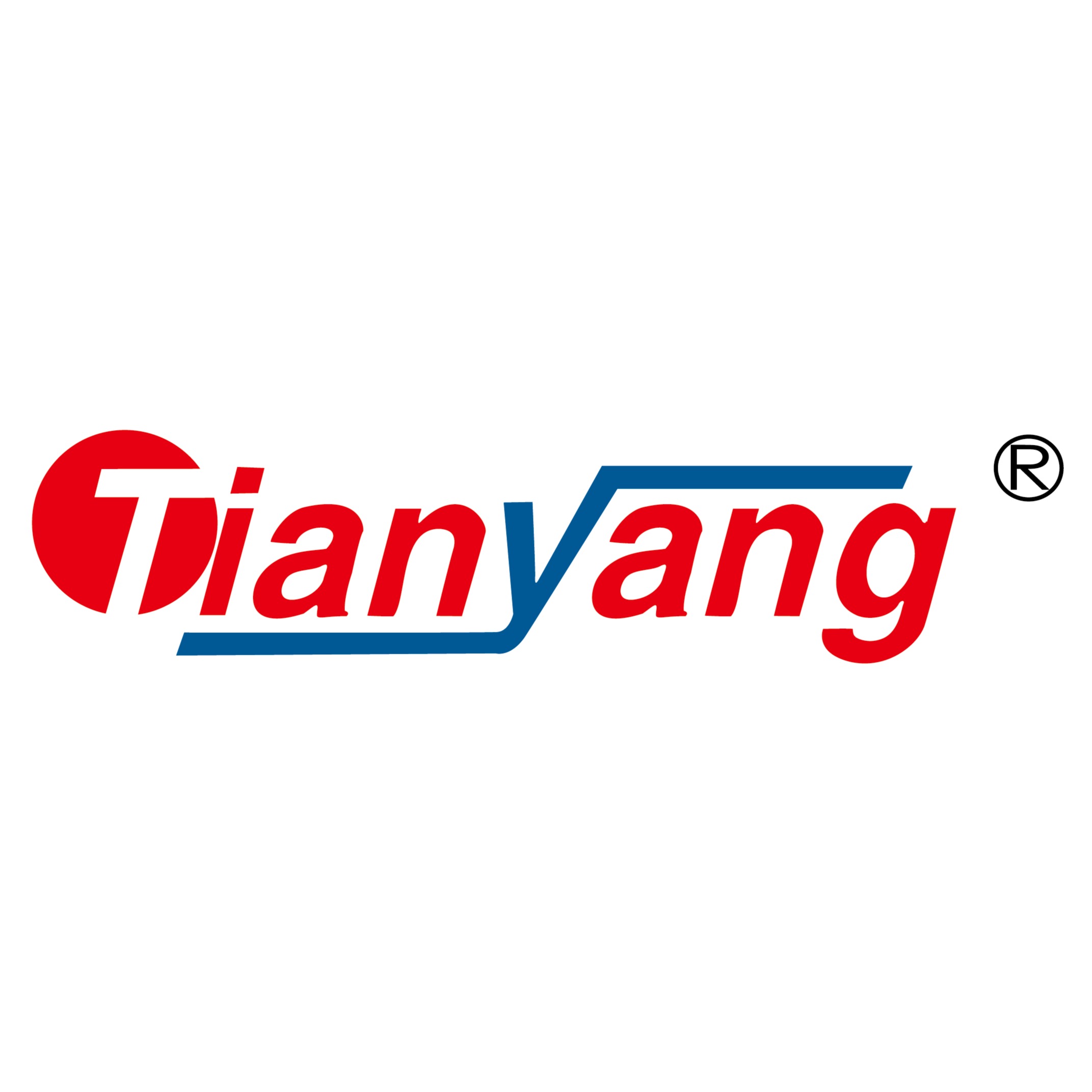 上海天阳时代技术有限公司