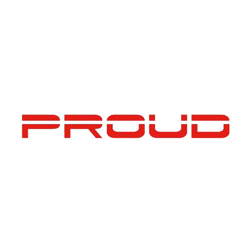Shandong Punard Measurement and Control Technology Co., Ltd - Company Logo