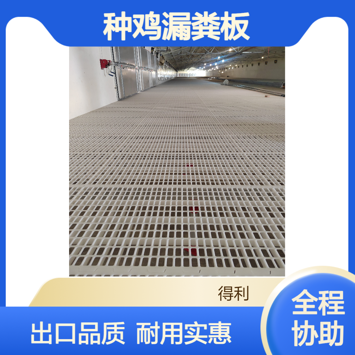 出口贸易种鸡漏粪板 种鸡舍设计 塑料架板 实体工厂