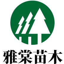 宿迁雅棠苗木有限公司 - 公司logo