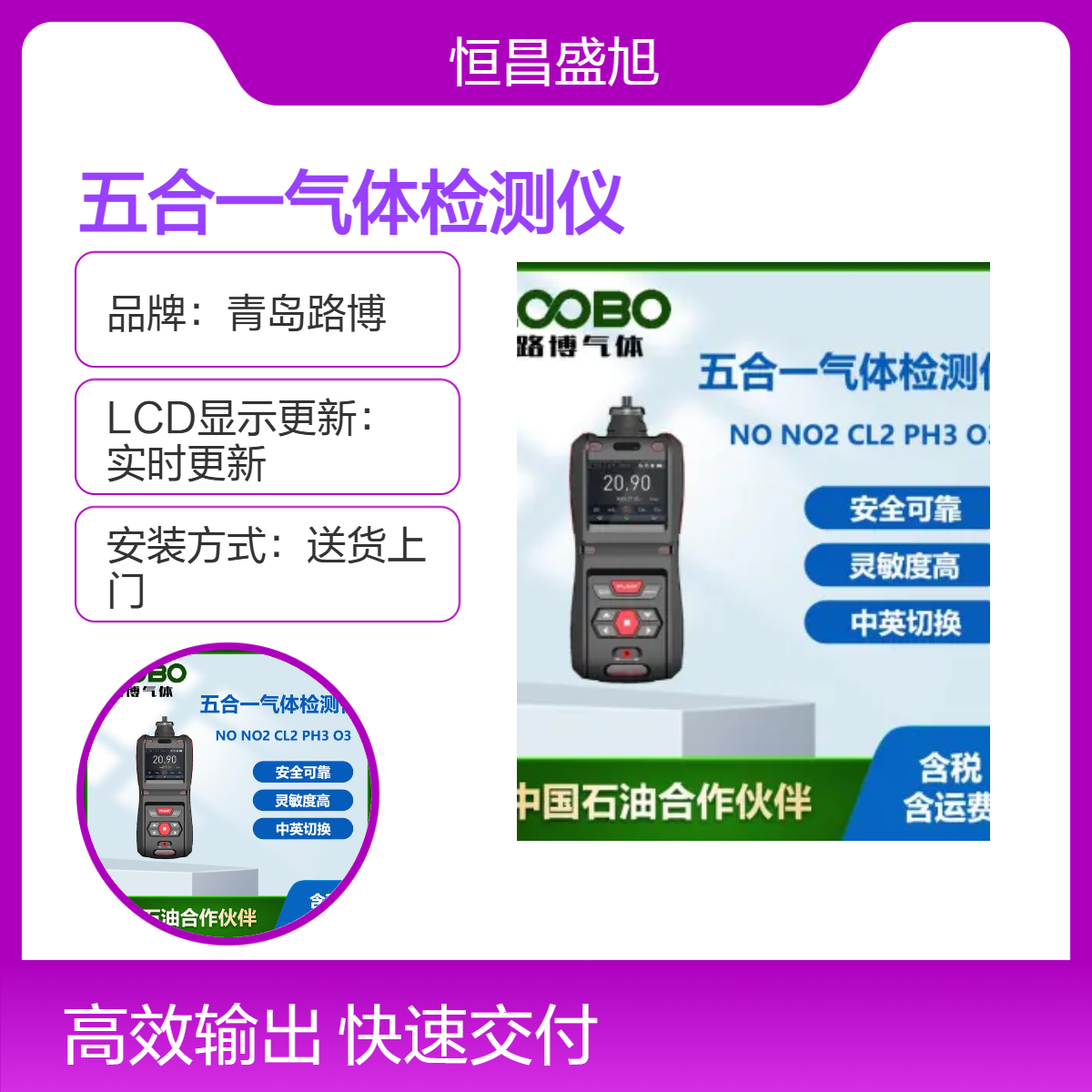 路博MS5X五合一气体检测仪 实时LCD显示 本质安全型