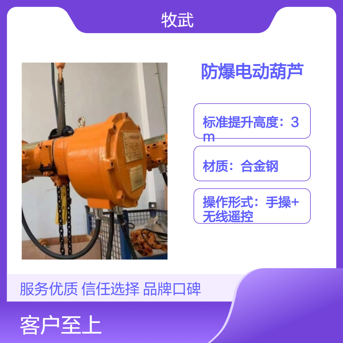 2T双链电动葫芦 气体防爆 ExdIIBT4 环链结构 1.5kW电机 5m起升高度