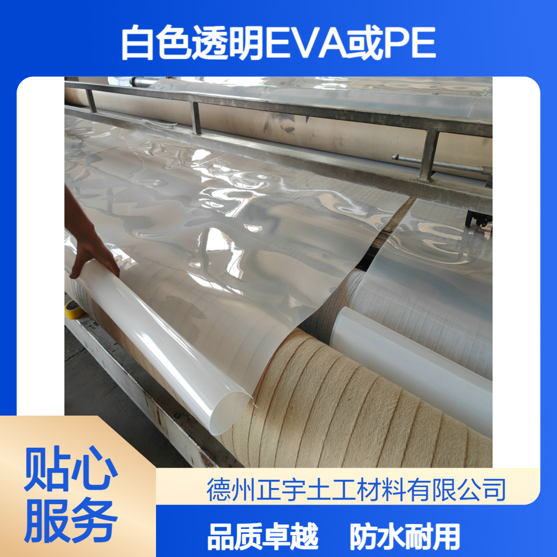 重庆工地老板都在买 1.2mmEVA防水板厂家 白色透明PE板材