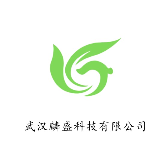 武汉麟盛科技有限公司 - 公司logo