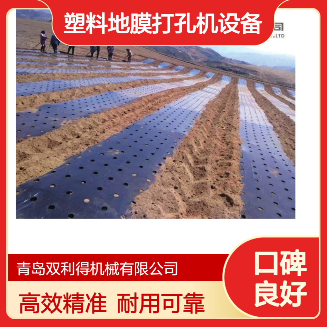 塑料地膜打孔机设备双利得定制生产农膜薄膜打孔机器