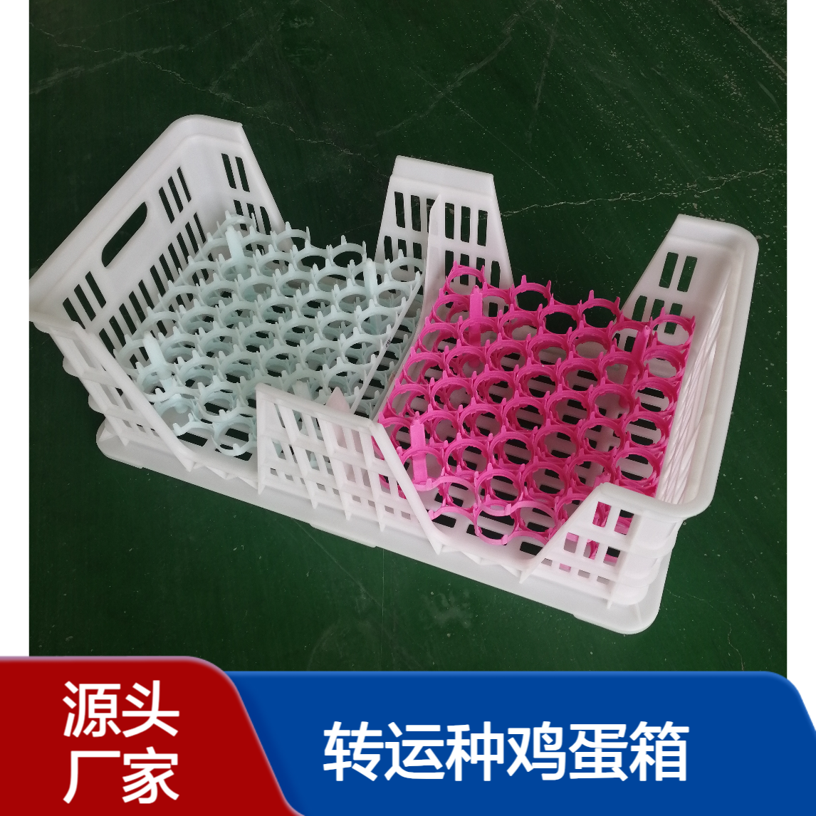 新式种蛋筐 转运种鸡蛋箱 孵化场专用塑料蛋筐配套蛋托