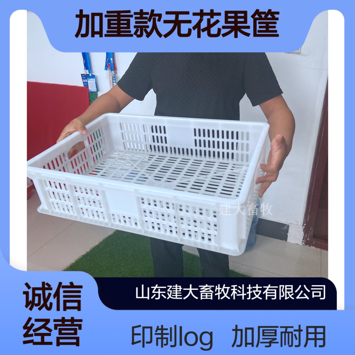 鸡苗运输筐 食品周转箱子加厚加重款无花果筐可印制logo定制颜色