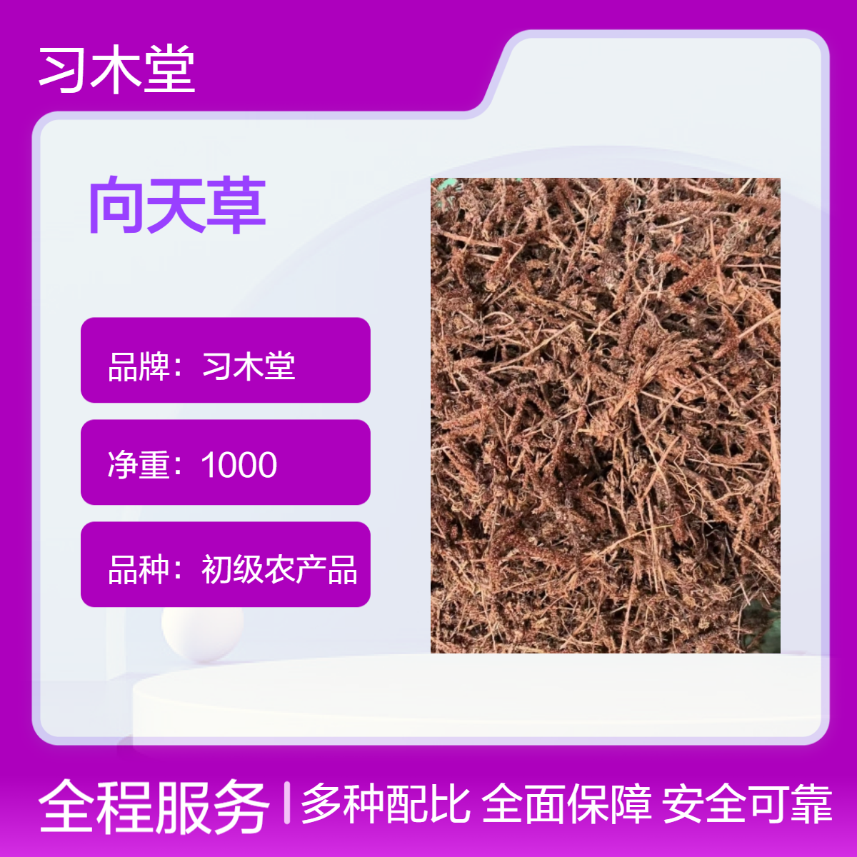 习木堂 向天草 瓦松 瓦花 批发 新货 无硫 品质好 1000g包邮