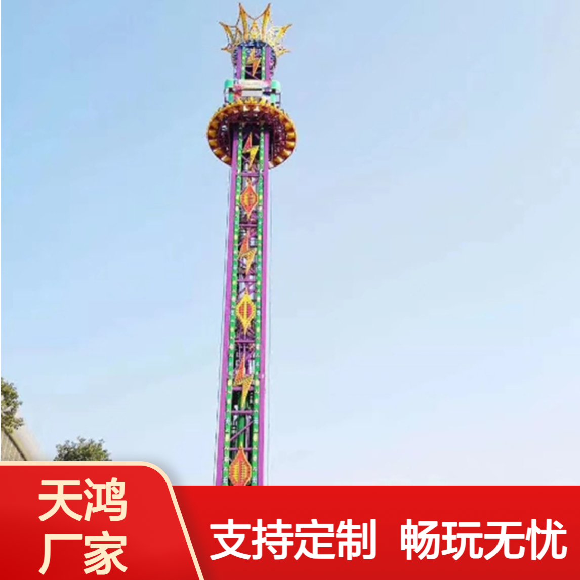 大型刺激室外游乐设备旋转塔生产厂家 跳楼机 天鸿